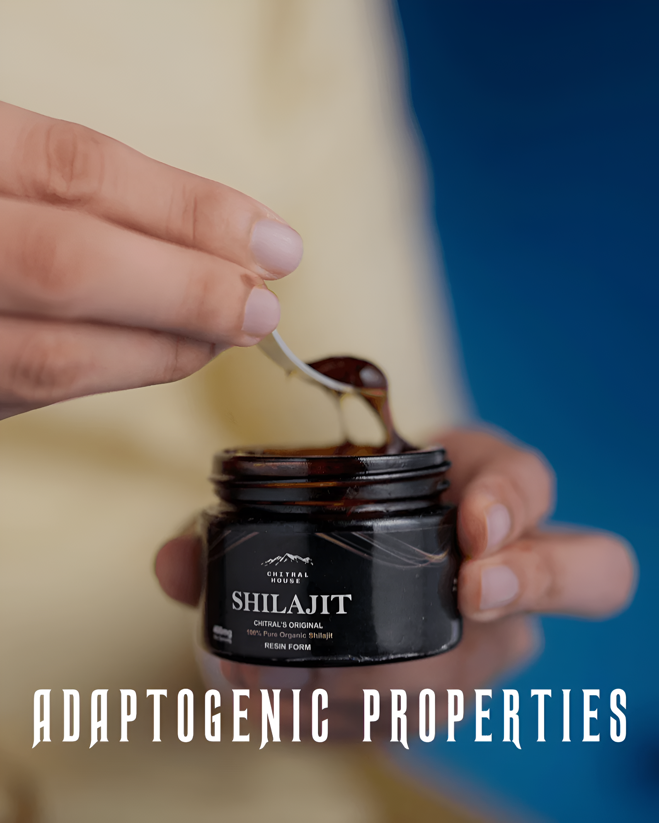 Himalayan Shilajit Resin in Pakistan – 20g Shilajit